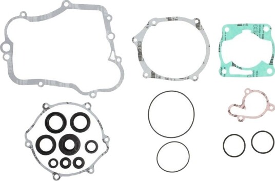 Tetnings helsett motor WINDEROSA 811614