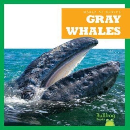 Gray Whales Av Eliza Leahy Gray Whales Av Eliza Leahy