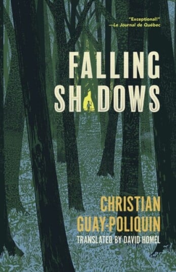 Falling Shadows Falling Shadows
