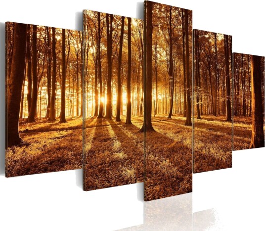 Bilde Amber Forest 100x50 Artgeist sp. z o. o.