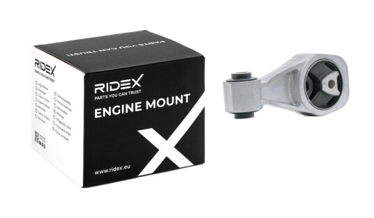 Motorfeste RIDEX 247E0630