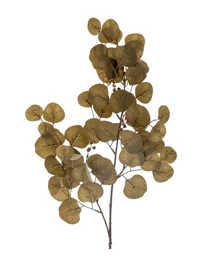 Bloomingville Eucalyptus Stem Khaki green H86CM Bloomingville Eucalyptus Stem Khaki green H86CM