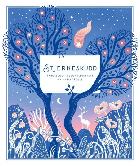 Stjerneskudd