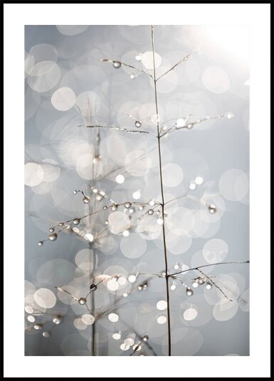 Natural Sparkle Plakat / 40x50cm