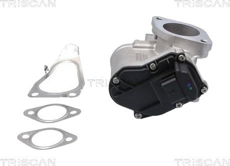 EGR-ventil TRISCAN 8813 25201 EGR-ventil TRISCAN 8813 25201