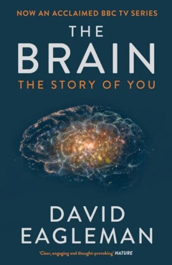 The Brain Av David Eagleman