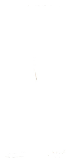 Pinko Dame Bukser Beige S,