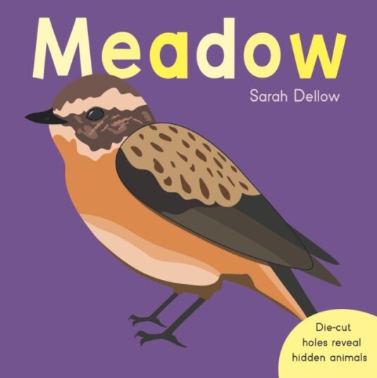 Now You See It! Meadow Av Sarah Dellow