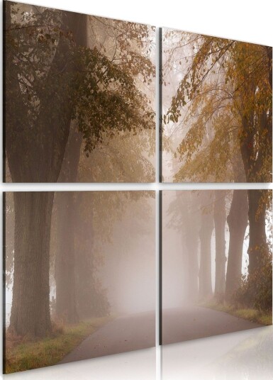 Bilde Foggy Allé 40x40 Artgeist sp. z o. o.