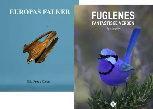 Gavebokpakke Fugler!
