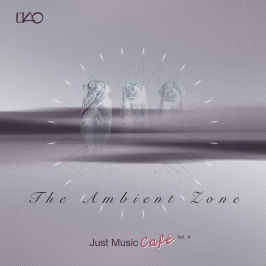 Diverse Artister The Ambient Zone CD Diverse Artister The Ambient Zone CD