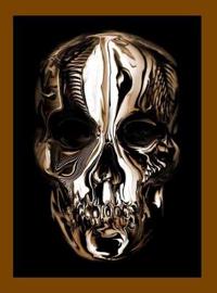 Alexander Mcqueen Av Andrew Bolton