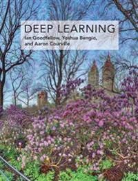 Deep Learning Av Ian (Senior Research Scientist Openai) Goodfellow, Yoshua (Full Professor Universite De Montreal) Bengio, Aaron (Assistant Professor