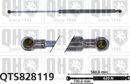 QUINTON HAZELL QTS828119 Baklukedemper