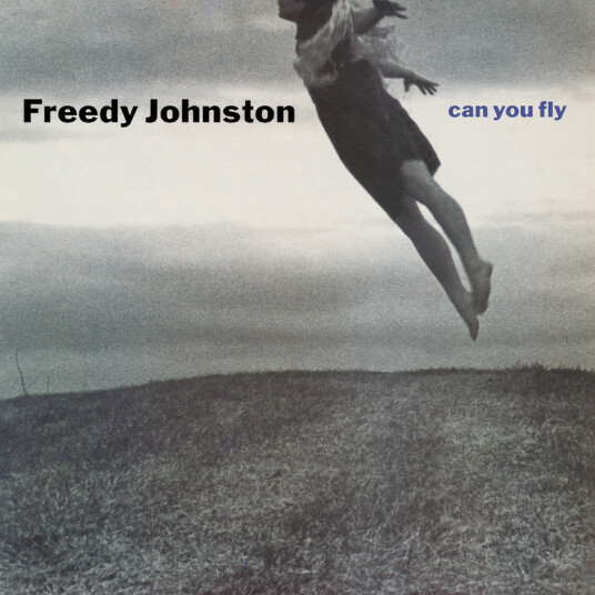 Can You Fly
