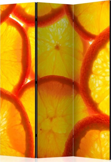Kadira Rumsavdelare 135x172 cm VALUE_MISSING_1 -