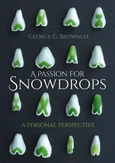 A Passion For Snowdrops Av George G. Brownlee A Passion For Snowdrops Av George G. Brownlee