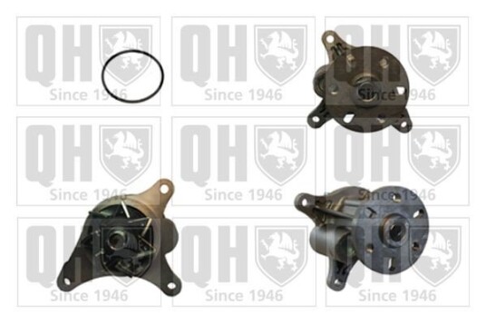 QUINTON HAZELL QCP3796 Vannpumpe QUINTON HAZELL QCP3796 Vannpumpe
