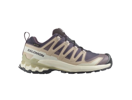 Salomon XA PRO 3D V9 GTX Dame Iron/Oxford/Alfalf 42