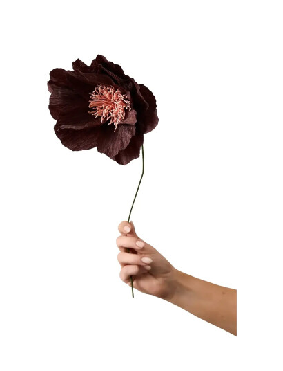 Studio About Paper Flower Burgundy ONE SIZE Studio About Paper Flower Burgundy ONE SIZE
