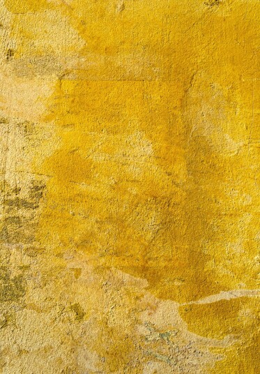 Wilton teppe Arbus gull Størrelse: 240 x 340 cm
