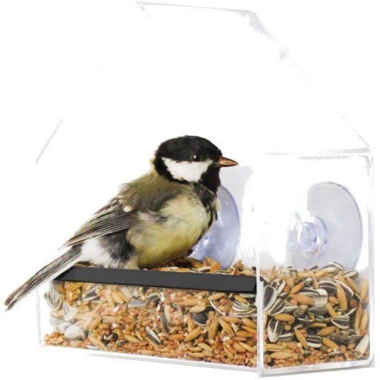 Fuglemater Bird til vindu Fuglemater Bird til vindu