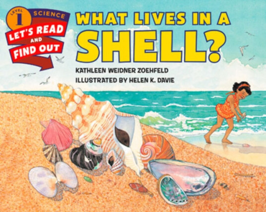 What Lives in a Shell? What Lives in a Shell?