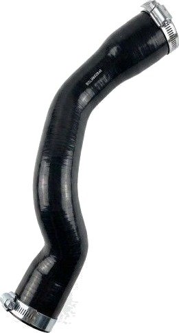 Ladeluftslange BUGIAD 82846