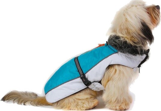 DGS Aspen 20 cm Svart Vinterdekken til Hund