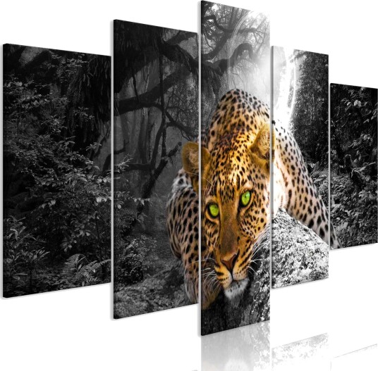 Bilde Leopard Lying 5 Parts Wide Grey 200x100 Artgeist sp. z o. o.