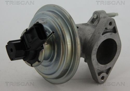 EGR-ventil TRISCAN 8813 16043