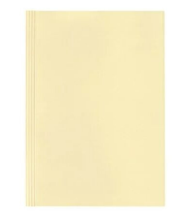 Esselte file folder for A4 tabbed yellow