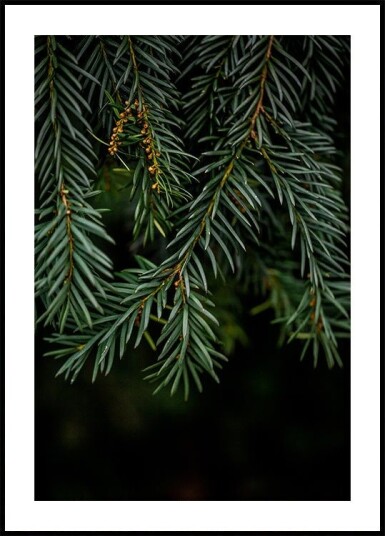 Winter Branches 7 Poster Plakat / 30x40cm