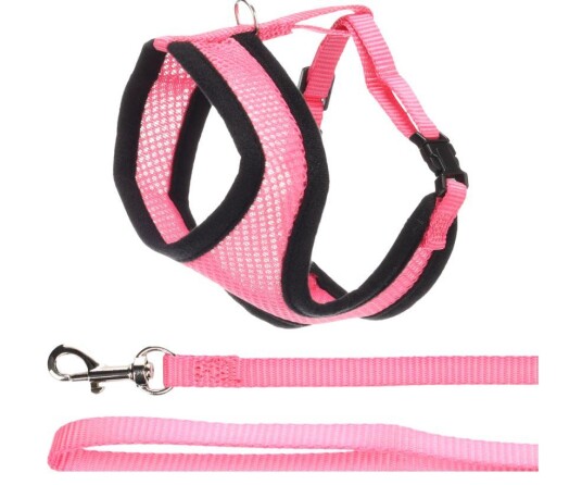Kattesele Med Line Rosa 43 55Cm