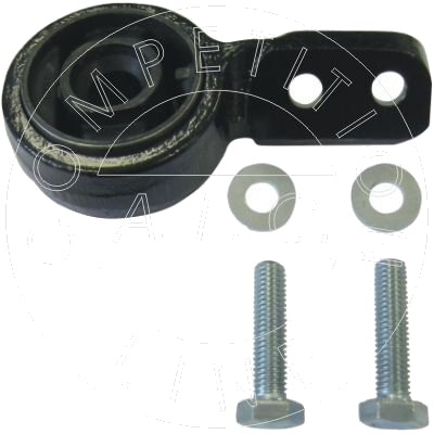 AIC 55651 Feste, styrestag