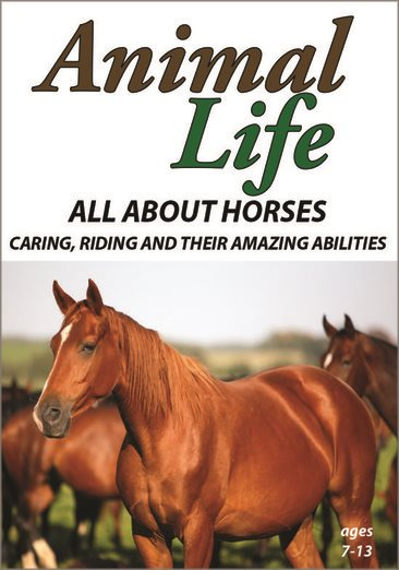 Animal Life: All About Horses Caring, Riding and Their Amazing Abilities DVD