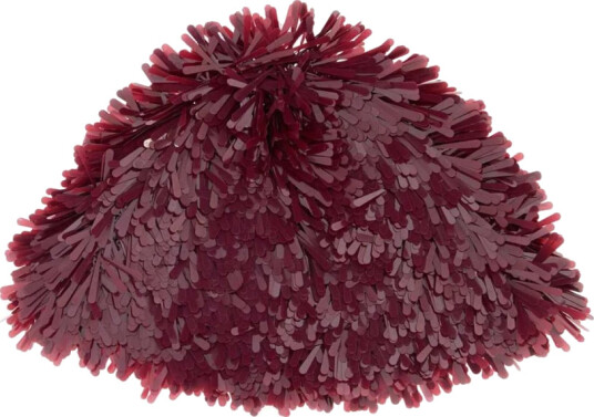 Alanui Dame Accessories Rød ONE SIZE, Alanui Dame Accessories Rød ONE SIZE,