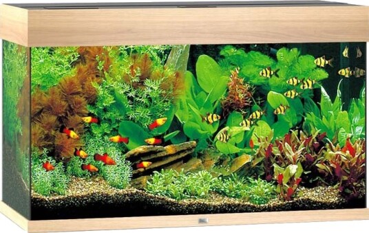 Rio 125 LED eik (lyst tre) akvarium Rio 125 LED eik (lyst tre) akvarium