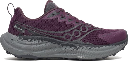 Saucony Women"s Ride Tr3 GORE TEX Eggplant/ebony 38.5