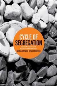 Krysan Maria Cycle of Segregation: Social Processes and Residential Stratification