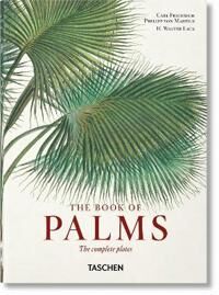 Martius. The Book Of Palms. 40th Ed. Av H. Walter Lack Martius. The Book Of Palms. 40th Ed. Av H. Walter Lack