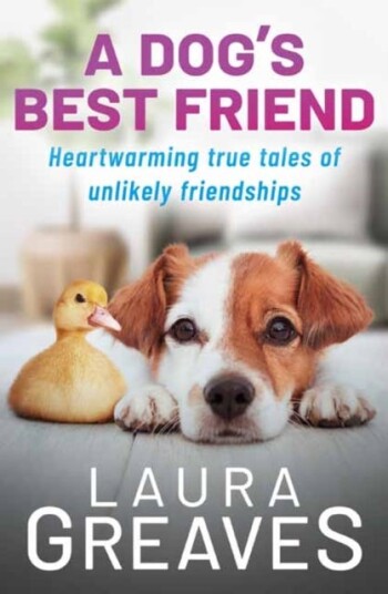 A Dog'S Best Friend Av Laura Greaves A Dog'S Best Friend Av Laura Greaves