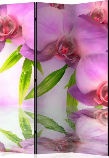 Kadira Rumsavdelare 135x172 cm VALUE_MISSING_1 -