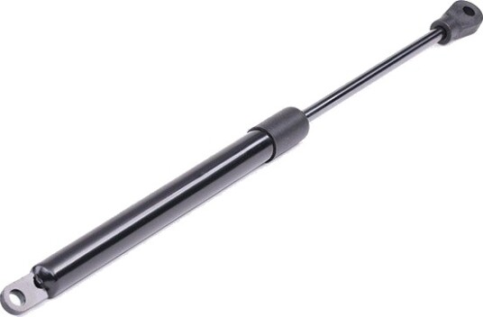 RIDEX 219G0245 Baklukedemper
