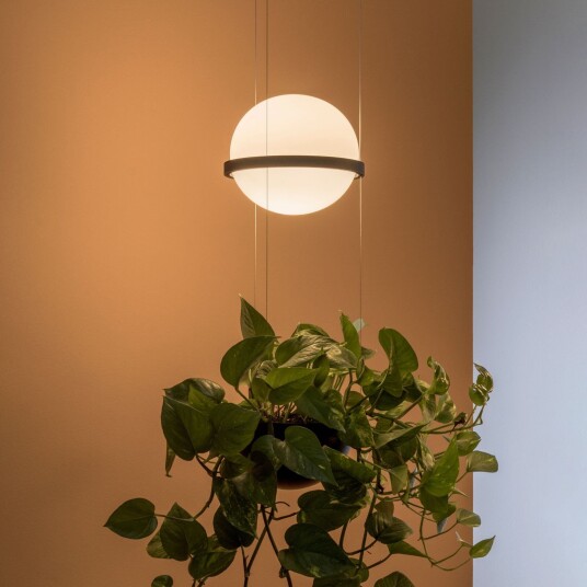 Palma 3724 hengelampe plantekule grafitt   Vibia   Stue   Moderne   Glass   Med en lyskilde