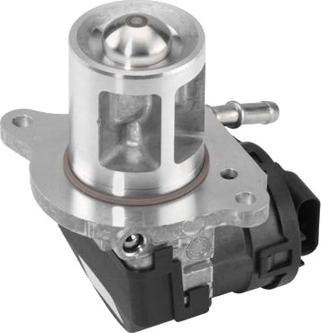 EGR Ventil WAHLER 710095D