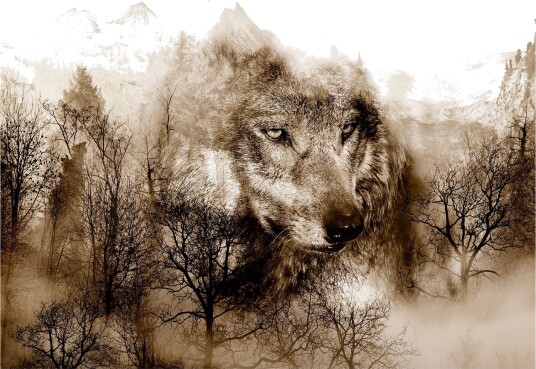 Fototapet Mountain Predator Brown 250x175 - Artgeist sp. z o. o.
