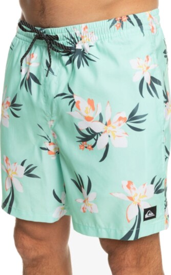 Quiksilver Everyday Mix 17" Swim Shorts for Men Turkis M