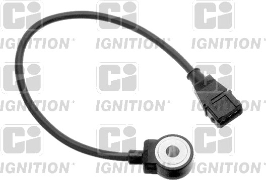 Bankesensor QUINTON HAZELL XKS2