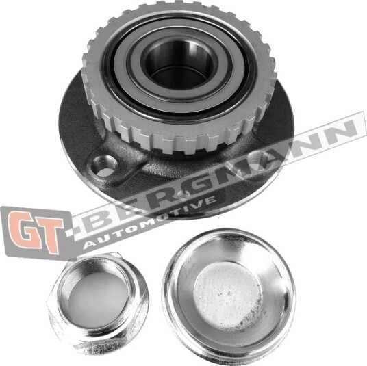 GT BERGMANN GT24 100 Hjullager